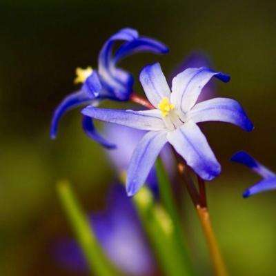 半岛·体育中国官方网站入口