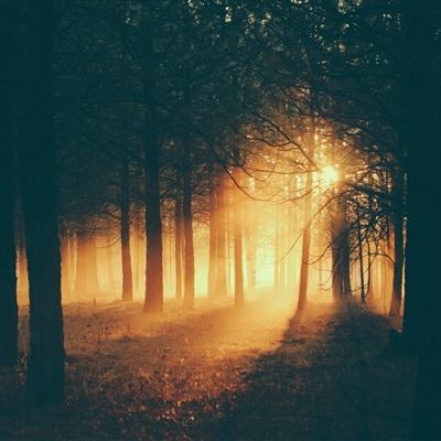 环球体育官网下载