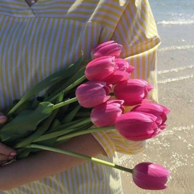 半岛网页版app下载截图