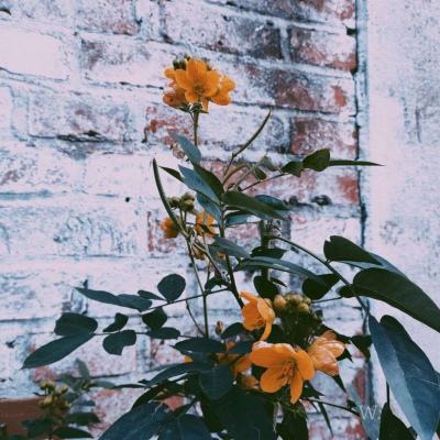 三亿体育手机app下载