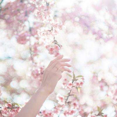 幸运快3在线计划网站